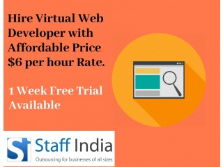 Website Developer FREE for a week!!!