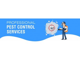 Affordable Squeak Pest Control Brisbane