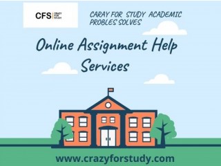 Online Assignment Help Services Available 24/7