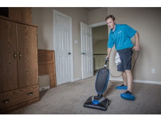 Steamaid Carpet Steam Cleaning | Tiles And Grout Cleaners