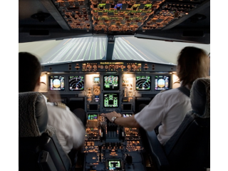Flight School