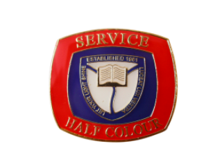 School badges