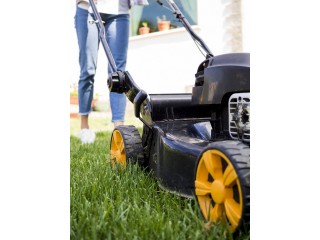 Discover Unbeatable Deals at Topnotch Outdoors: Lawn Mower and Chainsaws for Sale in Sydney