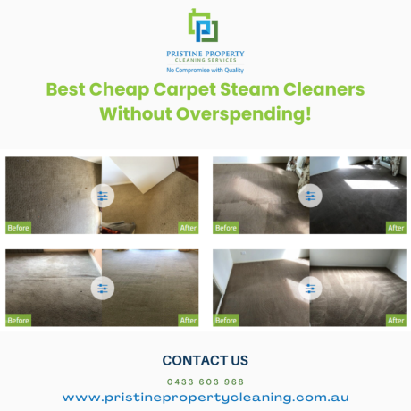 best-cheap-carpet-steam-cleaners-without-overspending-big-0