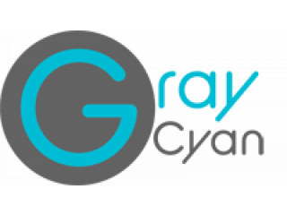 Seo consultant toronto - Web Development - Graycyan