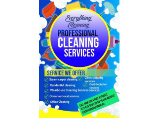 Cleaning Services in Ottawa