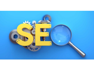 Best SEO Services in Delhi NCR Tailored SEO Strategies for Success