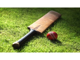 Fantasy Cricket Website & App Development Expert