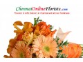 tasty-cakes-to-chennai-free-home-delivery-small-1