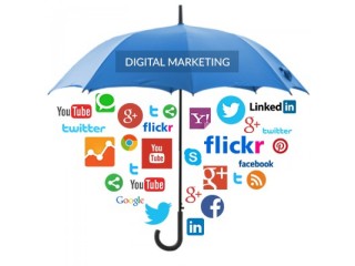 Best SEO Company In Patna