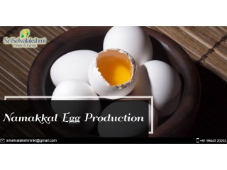 Namakkal Egg Production | Namakkal Egg Suppliers | Dealers