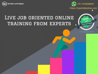 Big Data Hadoop Training Online Sparkdatabox