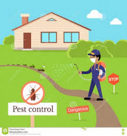 pest-control-services-in-chennai-big-1