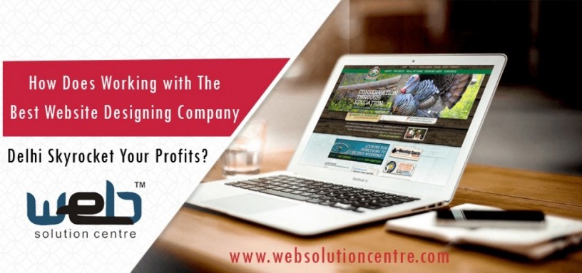 web-designing-company-delhi-big-0