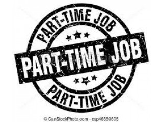 Internet Marketing Jobs For Fresher/Working Tourism Company