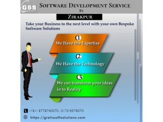 Software development service in zirakpur