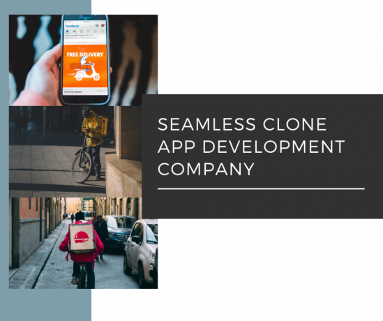 seamless-clone-app-development-company-big-0