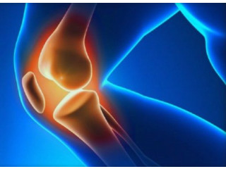 Best Knee Doctor in Kolkata: Visit Healing Touch Clinic