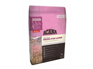 Pet food online