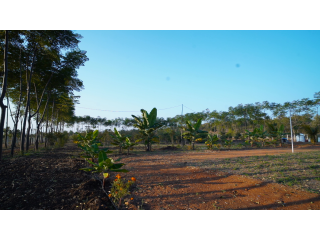 Agricultural Property And Land For Sale By Sri Trinethra Infra Developer