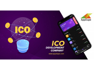 What Is Initial Coin Offering?