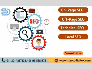 Why Sterco Digitex Is The Top SEO Company?