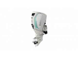 2020 Evinrude E TEC Engines 30 HP E30DPSL