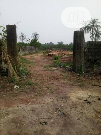 one-plot-of-land-for-sale-at-orogwe-owerre-big-0