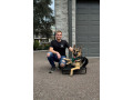 enhance-your-skills-with-dog-grooming-training-small-0