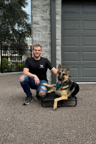 enhance-your-skills-with-dog-grooming-training-big-0