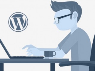 Hire a Dedicated WordPress Developer