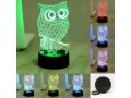 7-color-led-3d-owl-lampnightlight-3325-free-shipping-you-save-16-off-the-regular-price-of-3999-small-0