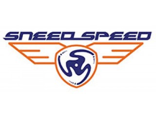 Sneed Speed | N20 Rod Bearing