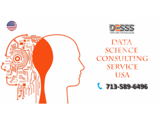 R machine learning consulting service Houston