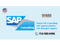 sap-consulting-company-houston-small-0