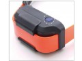 shop-dogtra-pathfinder-trx-gps-tracking-technology-for-your-dogs-from-dogtrapathfinder-small-0