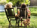 stuttering-speech-therapy-west-covina-small-0