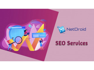 Are you looking for a professional SEO Service USA?