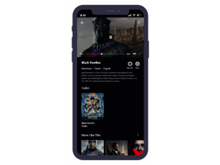 Entertain movie enthusiasts by developing an astonishing app like Netflix