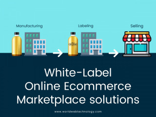 Online Ecommerce Marketplace Development Services Company | World Web Technology