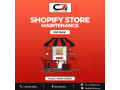 online-ecommerce-store-small-2