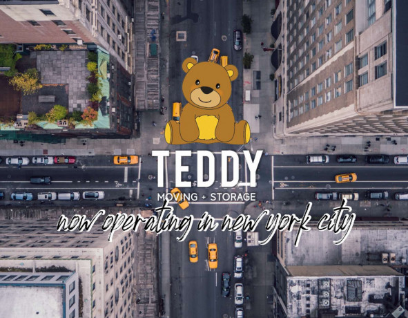 teddy-moving-and-storage-big-1