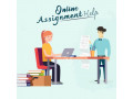 best-online-assignment-help-service-in-the-usa-small-0