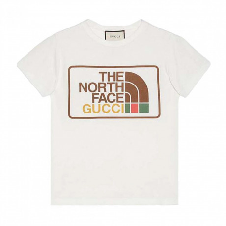 supreme-x-the-north-face-replicas-big-0
