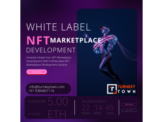 White label NFT Marketplace Development: An easy entry point into the NFT universe