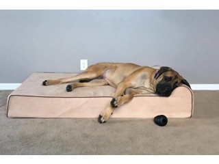 What the Orthopedic Waterproof Dog Bed and Blanket Combo Will Do for You?