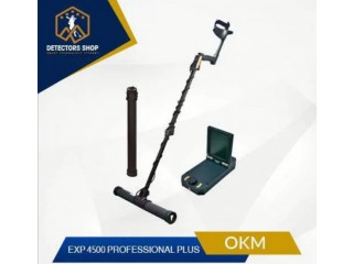 Gold detector EXP 4500 Professional PLUS