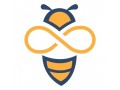 website-development-buzz-traffic-llc-small-0