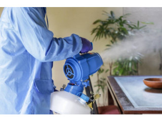 A Trusted Agency to Hire Pest Control & Fumigation Services in Johannesburg